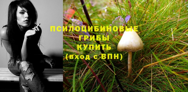 соль курить ск Алзамай