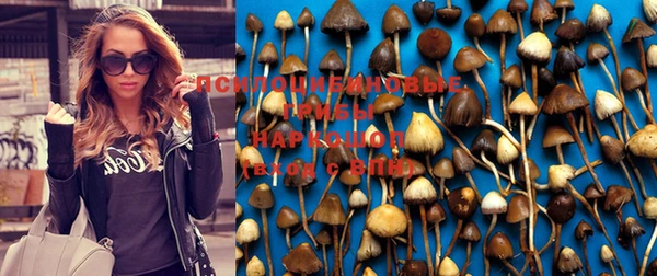 соль курить ск Алзамай