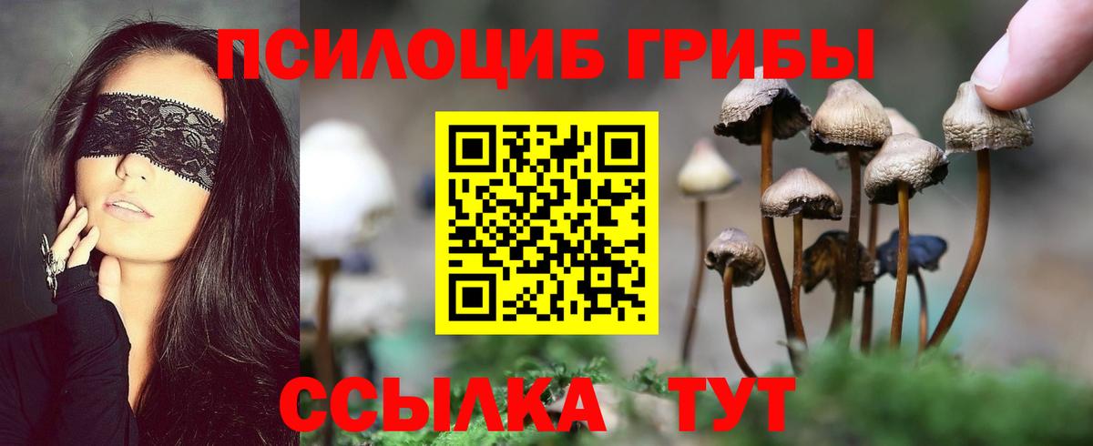 Галлюциногенные грибы мицелий  Вход с VPN  Лесосибирск 